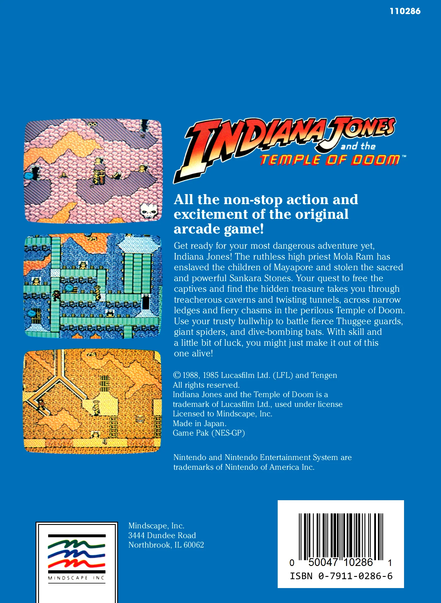 Indiana Jones and the Temple of Doom - NES - Image 2