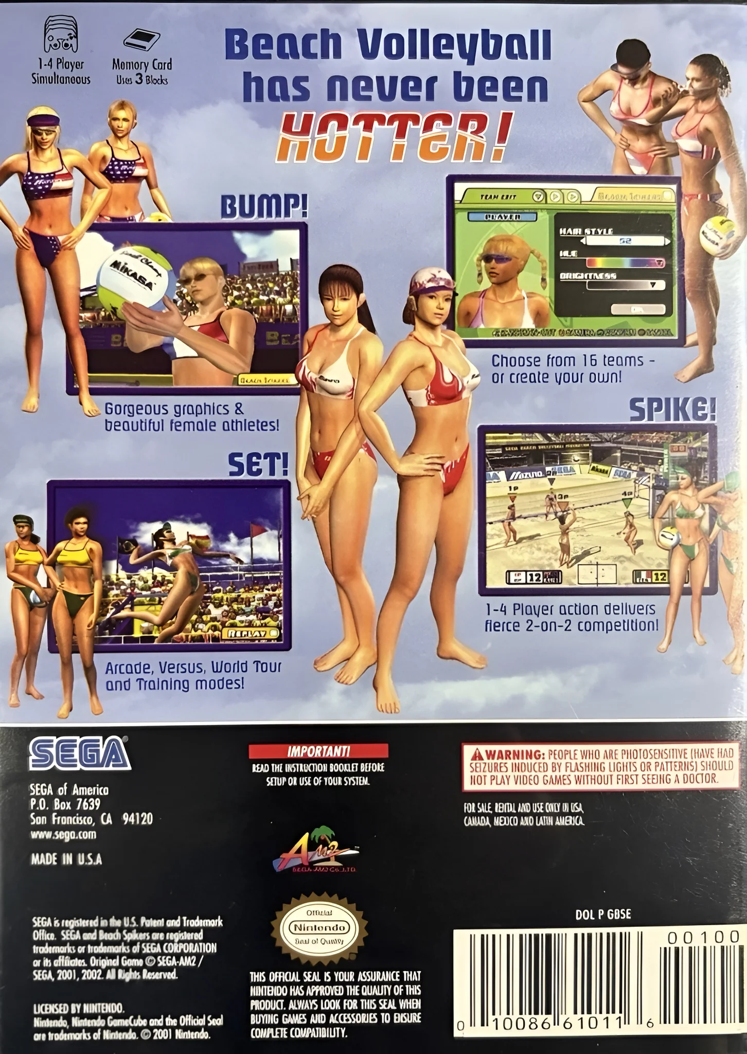Beach Spikers - Image 2