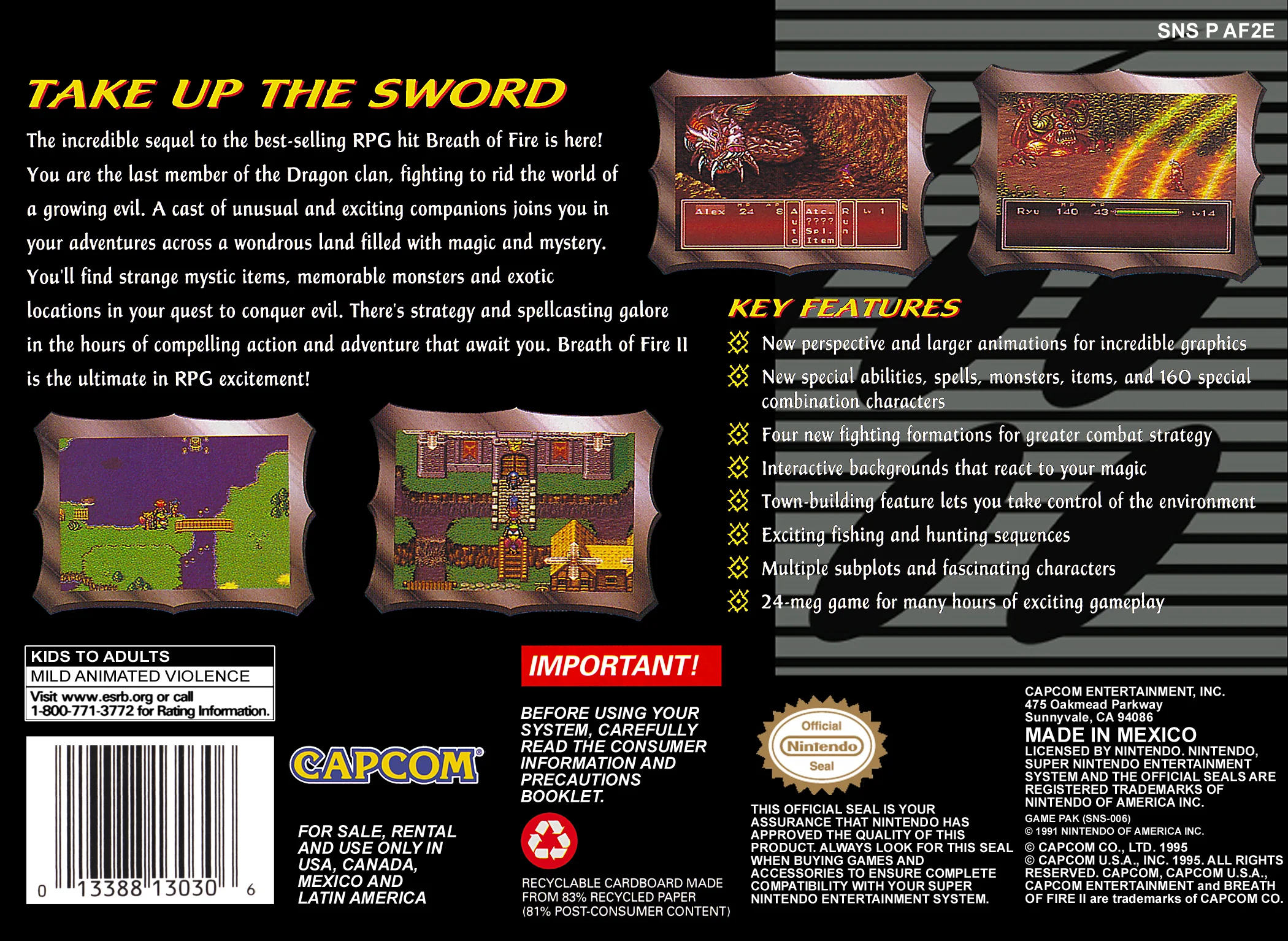 Breath of Fire II - Image 2