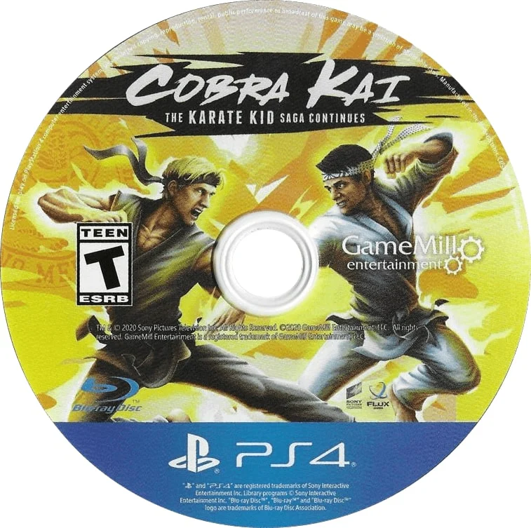 Cobra Kai: The Karate Kid Saga Continues - Image 3