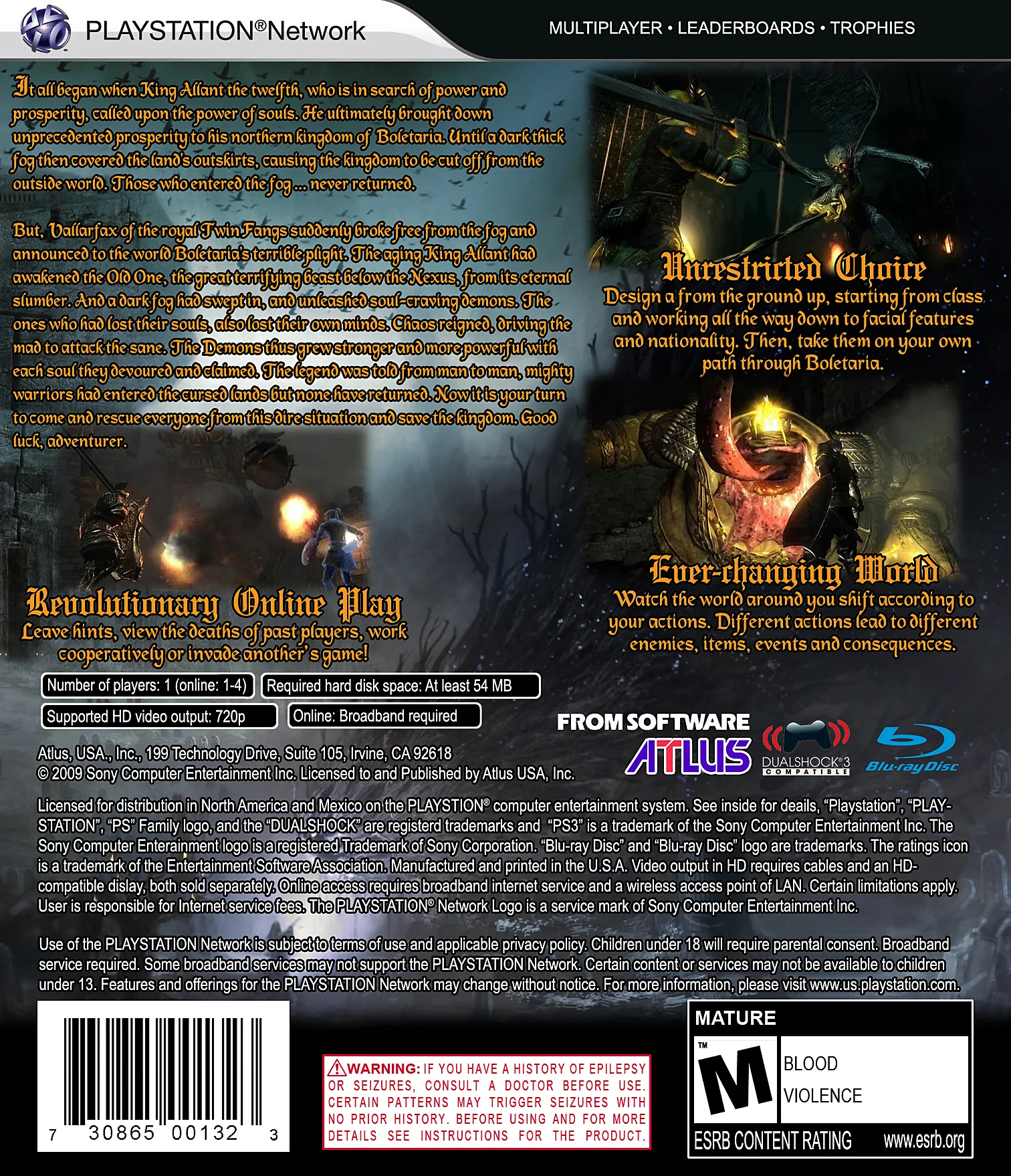 Demon's Souls - Image 2