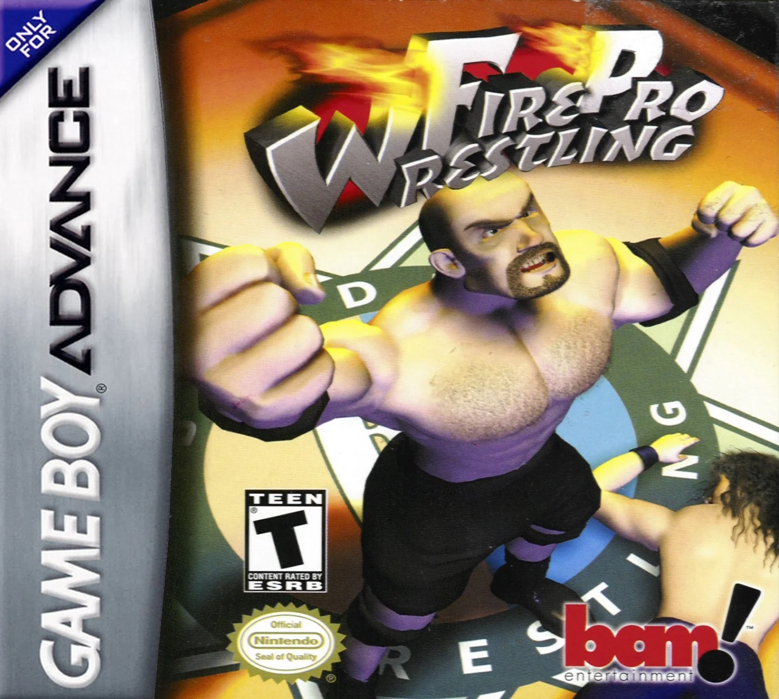 Fire Pro Wrestling 2