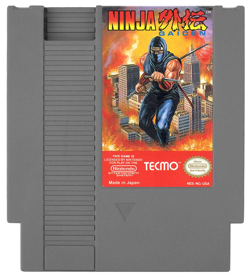 Ninja Gaiden - Image 3