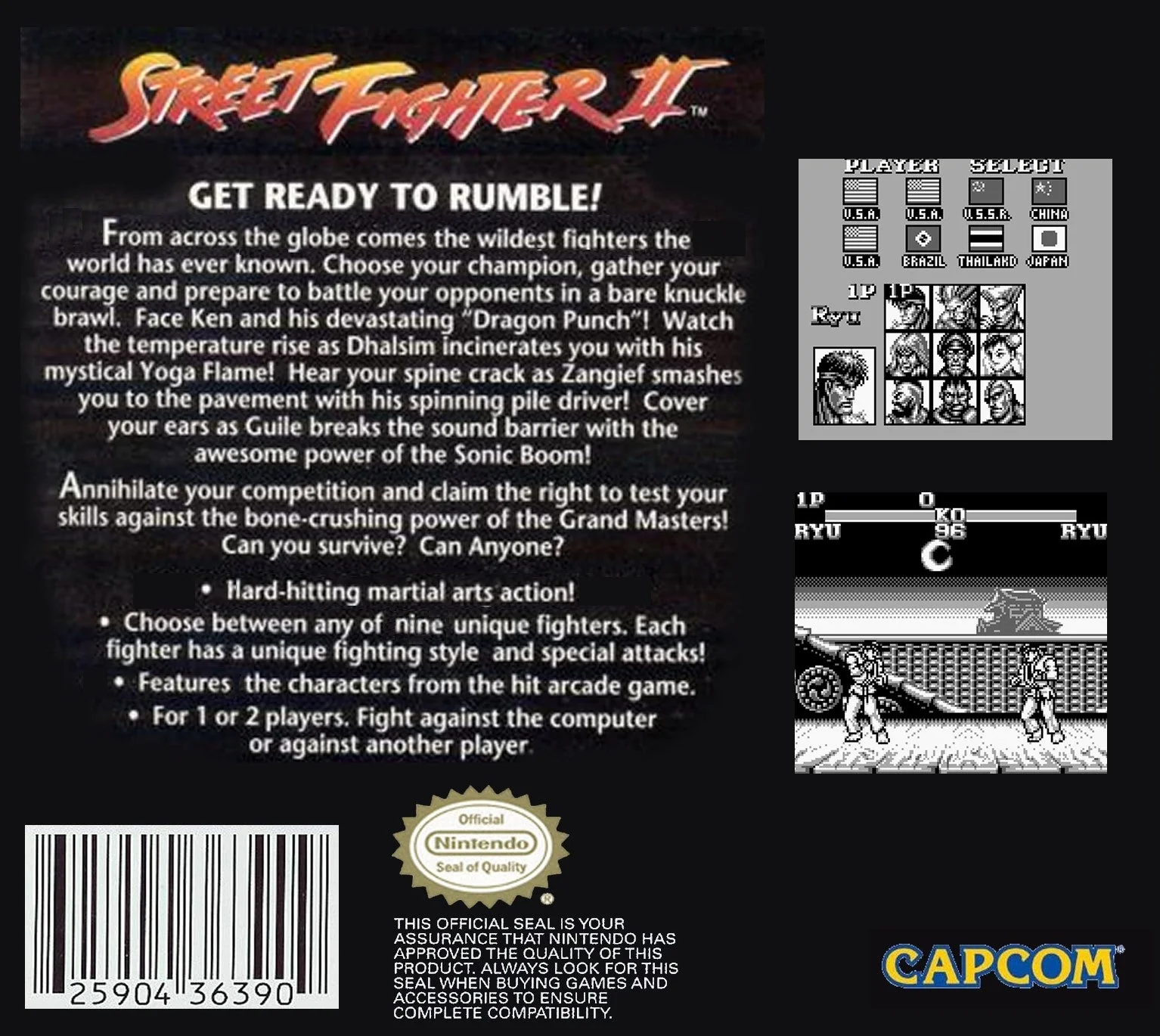 Street Fighter II - Image 2