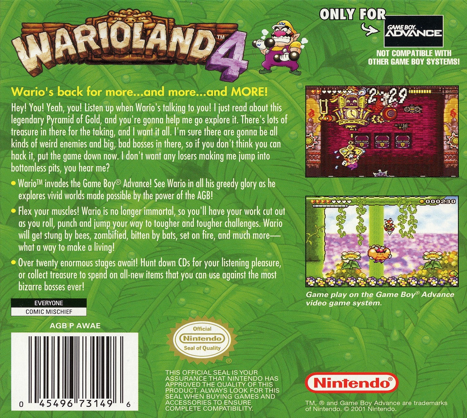 Wario Land 4 - Image 2